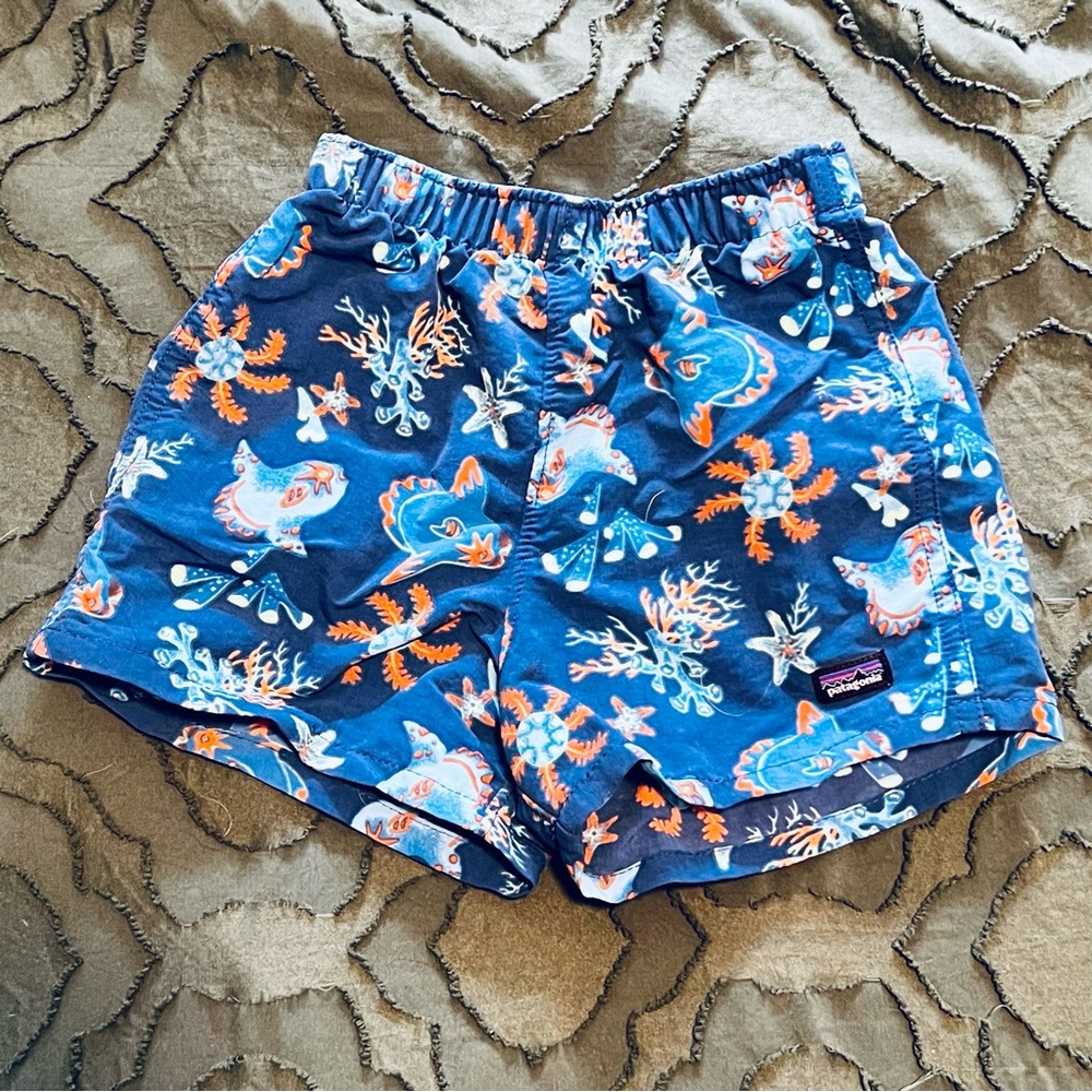 Patagonia Baggies